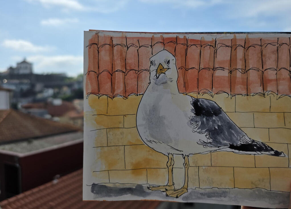Seagull of Porto, Watercolour and pen on paper, 21 x 14.5 cm Seagull of Porto, Watercolour and pen on paper, 21 x 14.5 cm
