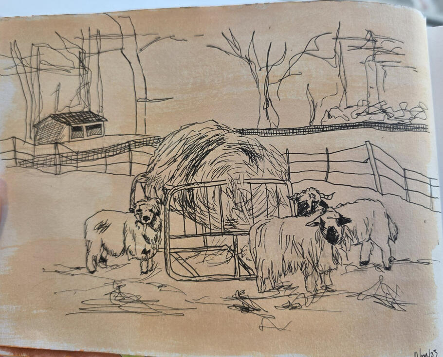 Sheep in Field, Acrylic and pen on paper, 18.5 x 13 cm Sheep in Field, Acrylic and pen on paper, 18.5 x 13 cm