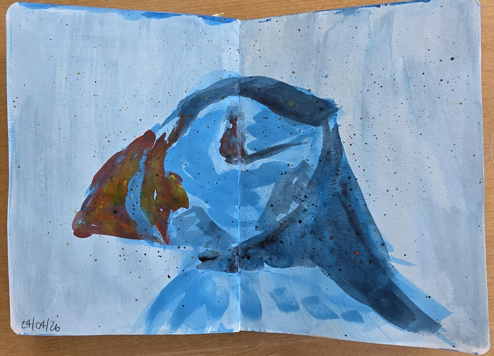 Loose Puffin, Acrylic on paper, 18.5 x 26 cm