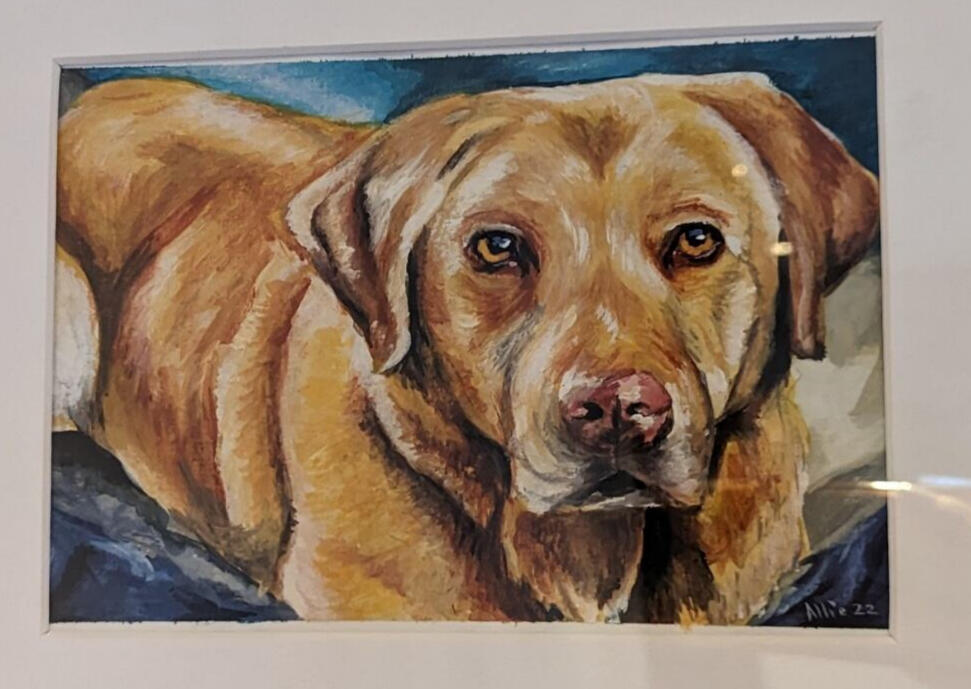 Ludo by AlliesArt, gouache on paper, labrador with a focus on the portrait facing directly to viewer with strong brushstrokes